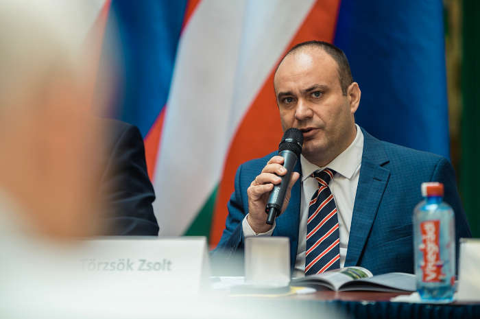 Törzsök Zsolt